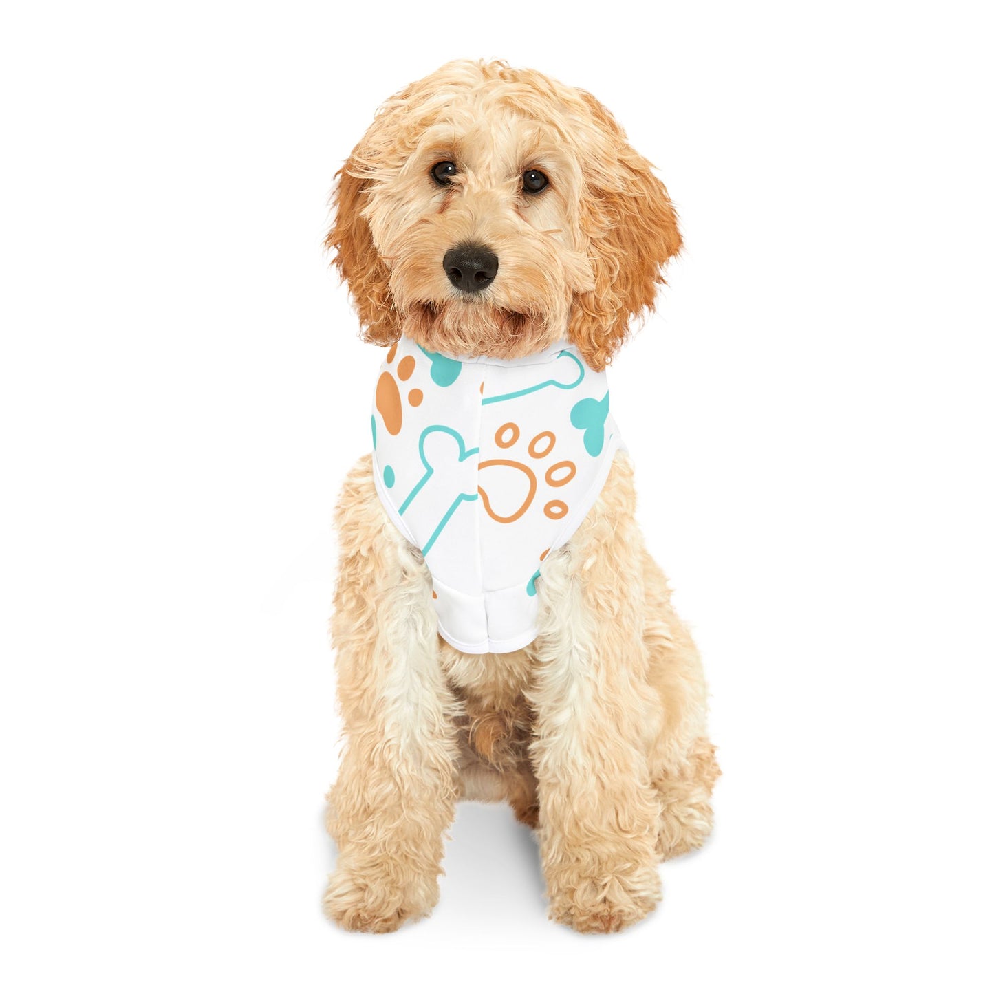 Travel Assistant Pet Hoodie